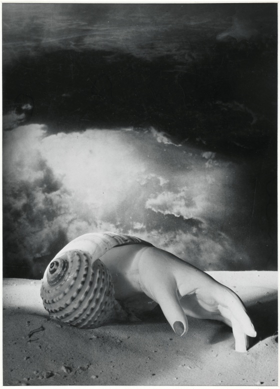 Untitled (Hand-Shell) 1934 