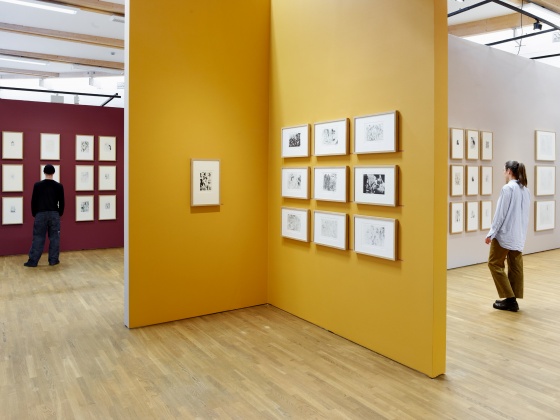Henie Onstad Kunstsenters utstilling med Picassos «Suite 347»