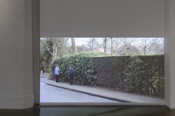 Eline Benjaminsen, «The Flora: Hedging (a.k.a. hedge heist)», 2024