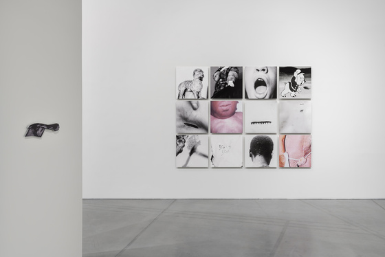 Frida Orupabo, «Cloud of Confusion», Astrup Fearnley Museet 2025