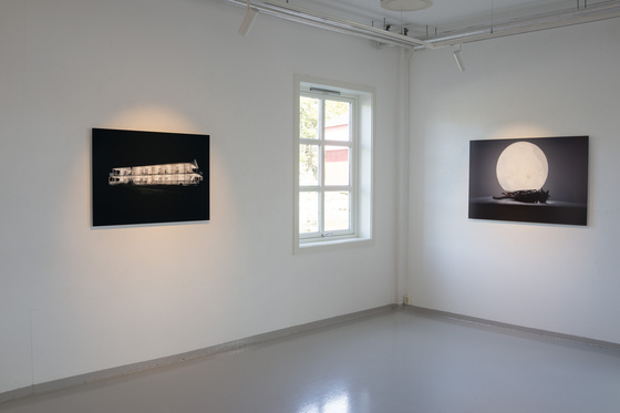 Signe Marie Andersen, Glance, 2022
