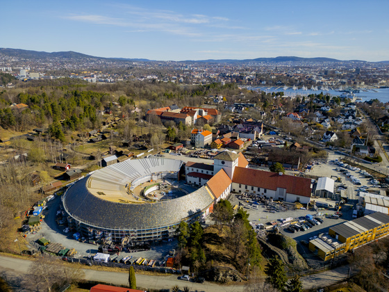 Ormehodet fra Osebergskipet