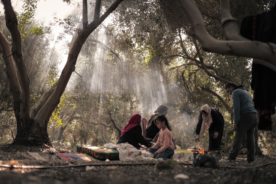 Fatma Hassouna, «Natural Scene», 2022