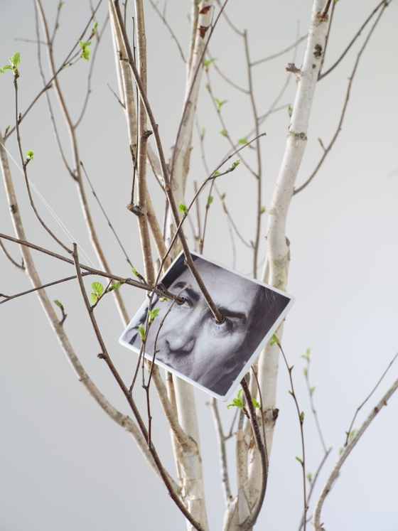 Giuseppe Penone, Sguardo vegetale (Vegetal Gaze), 1995. Serpentine South, 2025.