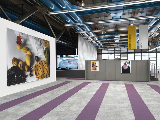 Fra utstillingen Wolfgang Tillmans, Rien ne nous y préparait − Tout nous y préparait, Centre Pompidou, 2025. Foto: Jens Ziehe