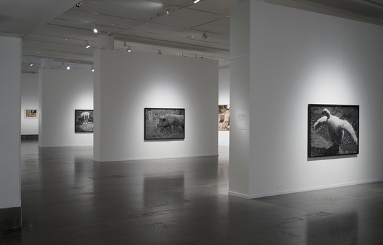 Sophie Ristelhueber Hasselblad Award 2025