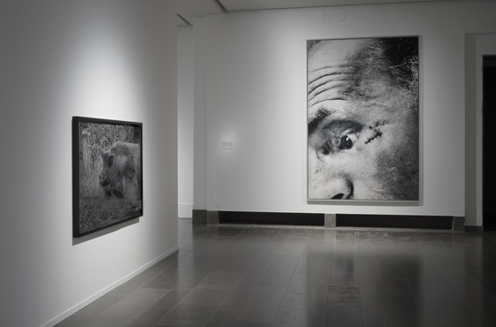 Sophie Ristelhueber Hasselblad Award 2025