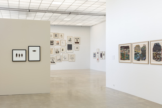 «Bravo – Grafikkens år 2025», Kristiansand Kunsthall, 2025