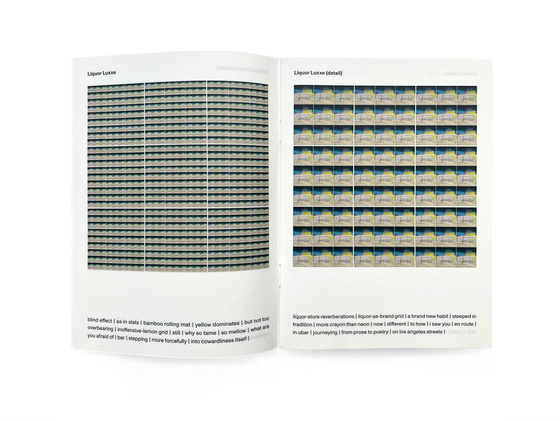 Photoworks sine P5 Photo Poetry Pamphlets, denne av Vik Shirley.