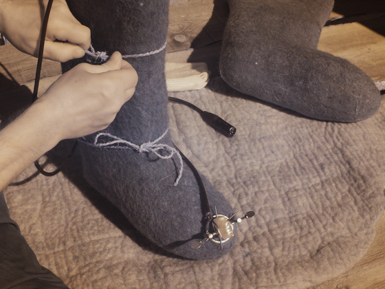 Espen Sommer Eide, «Wild Music Reserve (Pasvik),» Atelier Nord 2025